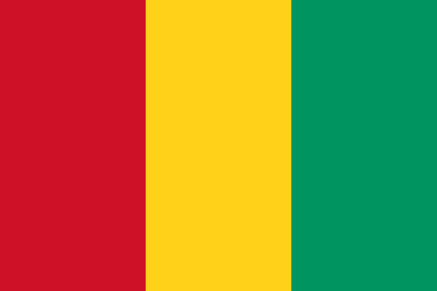 几内亚ECTN跟踪单介绍